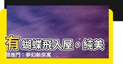 蝴蝶飛入屋|蝴蝶飛入屋，風水大師：喜事將近